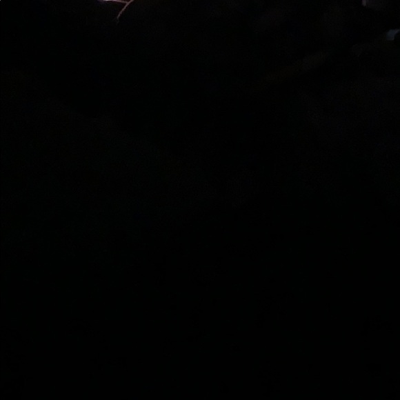 Meet your Posher, Miles - Picture 1 of 1